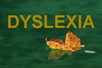Moja stránka pre dyslektikov